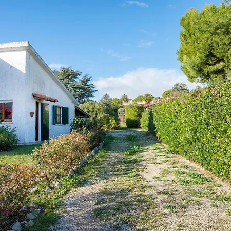 N272 - Numana, Meravigliosa Con Giardino E Vista Mare نومانا